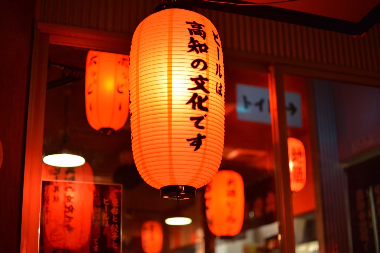 高知名物といえば屋台餃子!安兵衛のラーメンと屋台餃子の魅力